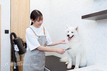 TokenPocket钱包安卓版